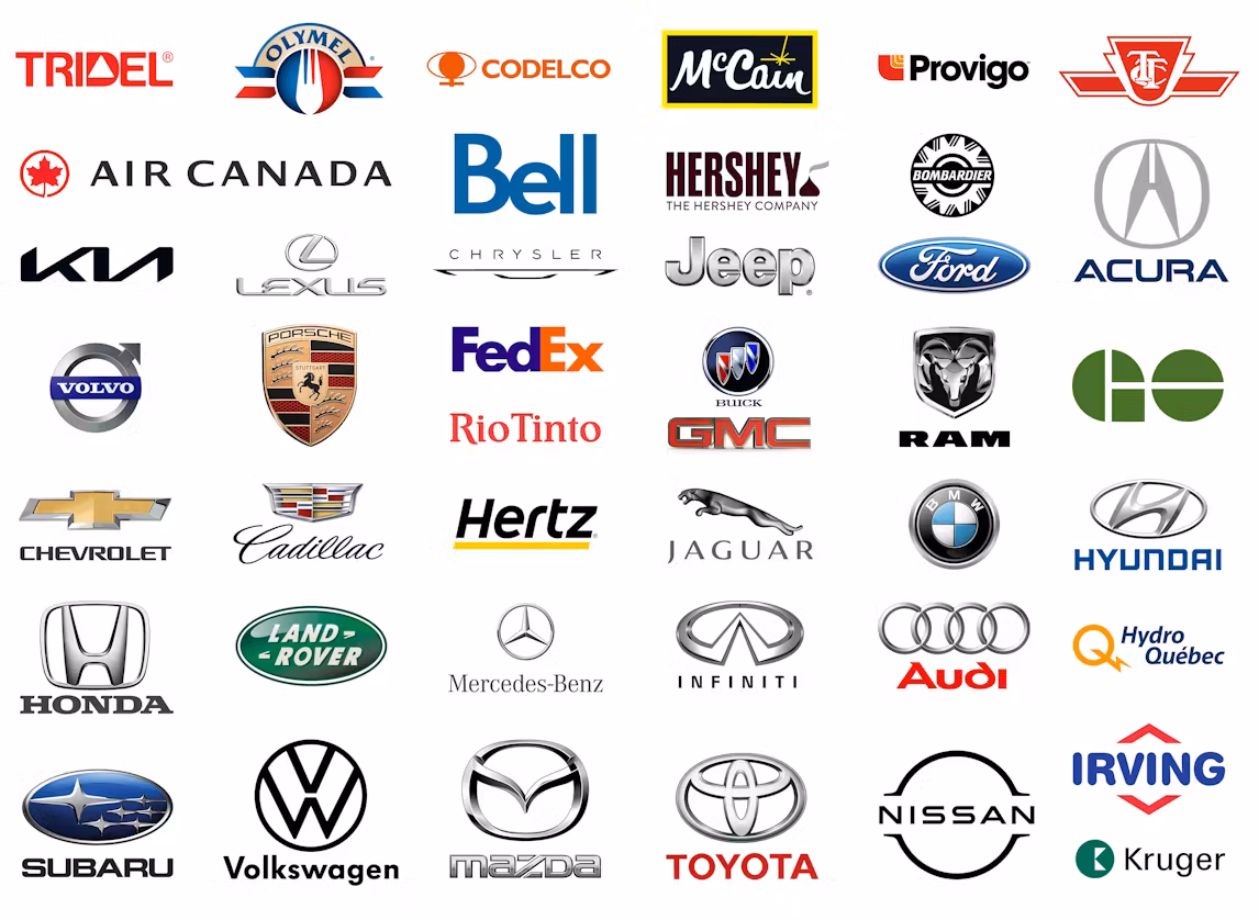 Our partners