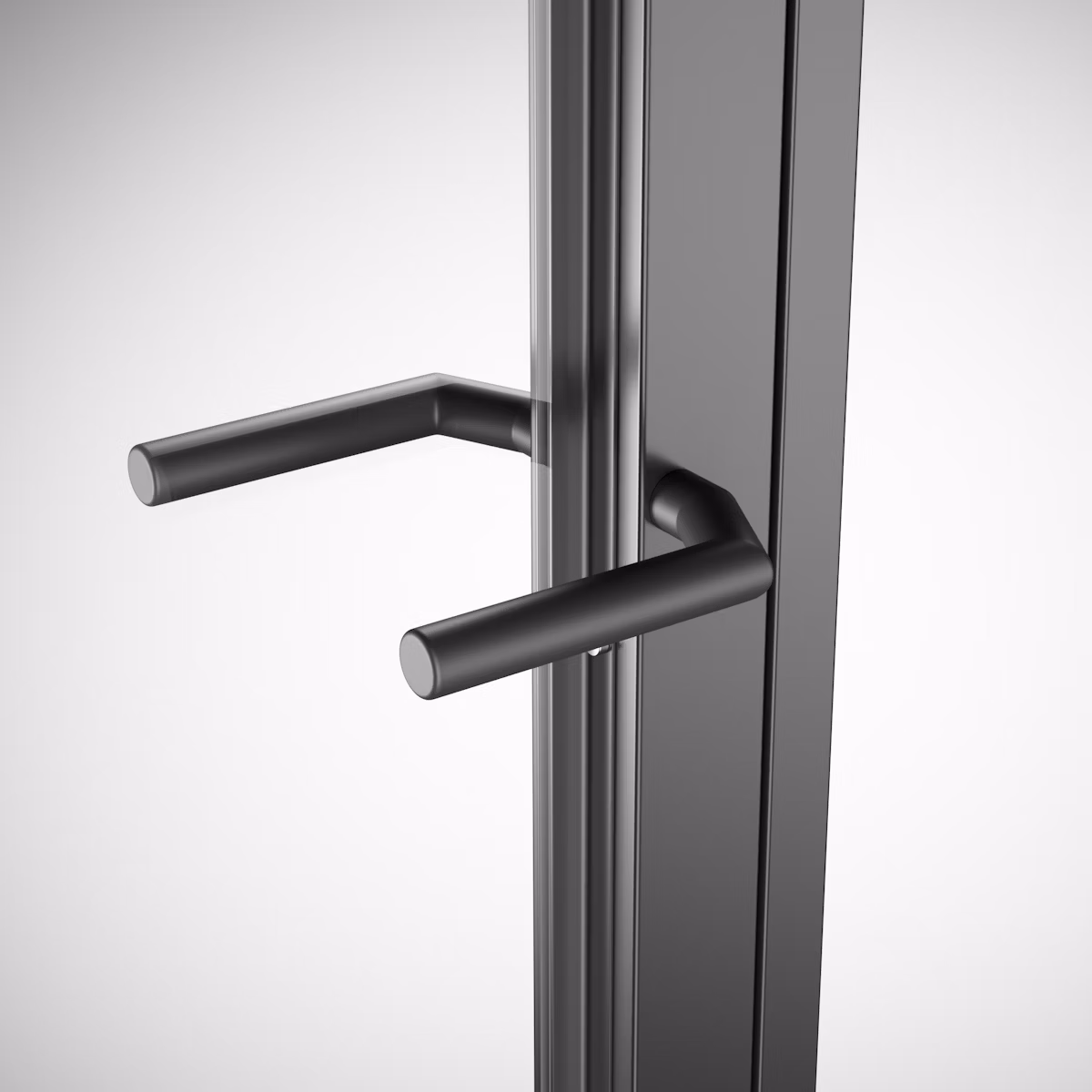 Two-winged door with black matt handle